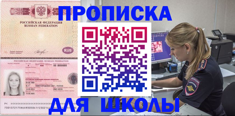 пропишу в квартире в Павловском Посаде